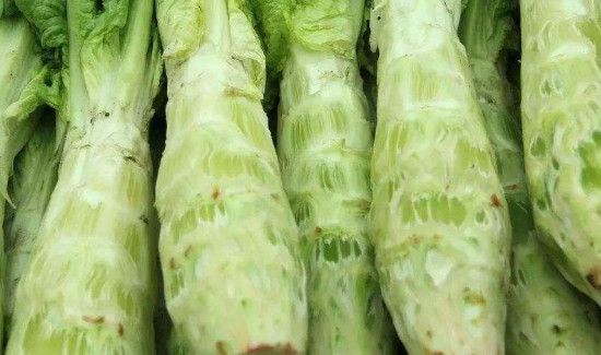 莴笋发芽还能吃吗