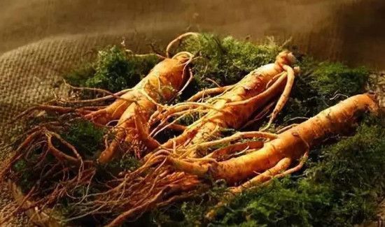 白萝卜不宜与7种食物一起吃