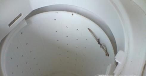 洗衣机声音异常怎么办？