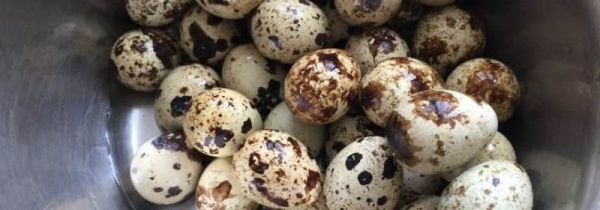 鹌鹑蛋怎么清洗