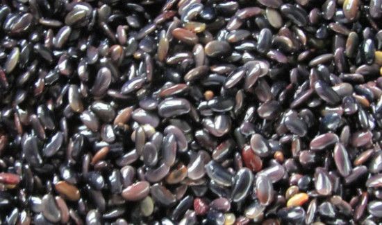 在家里怎么生黑豆芽