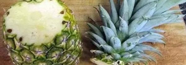 菠萝怎么掰着吃