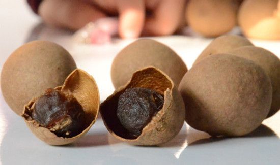 桂圆壳泡水有什么功效