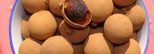 桂圆壳泡水有什么功效