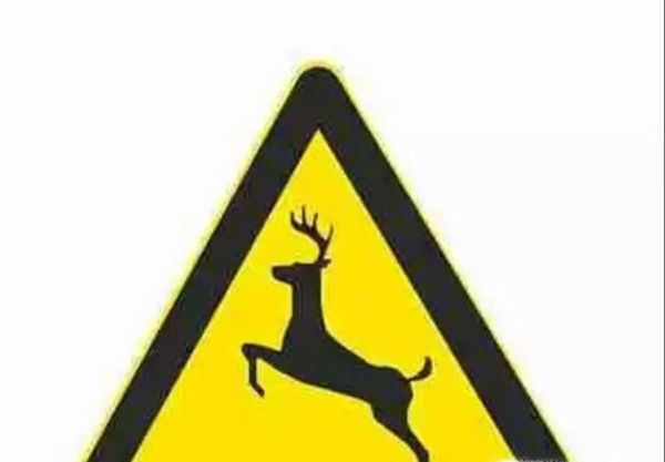 易”记混“交通标志，几分钟让你违章少一半.