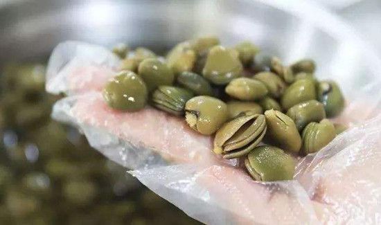 榄钱的功效和药用价值