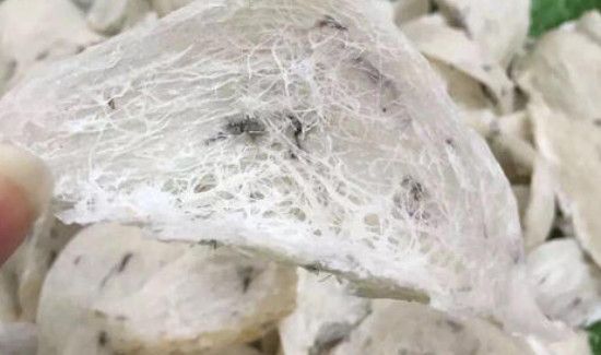 毛燕和燕盏的营养区别