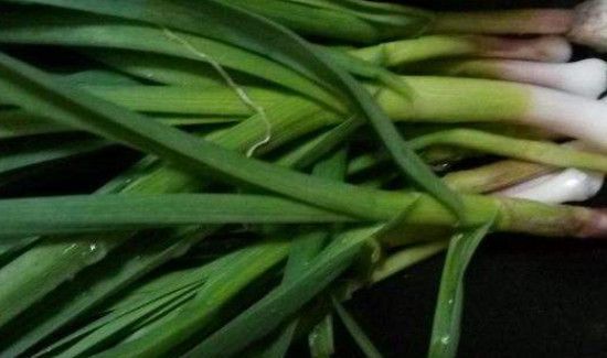 大蒜叶的功效与作用及禁忌