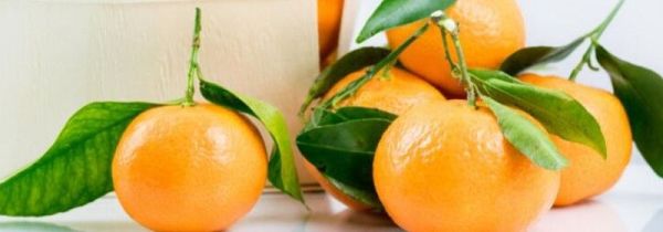 桔子和橘子的区别是什么