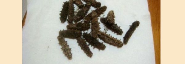 怎么泡发干海参