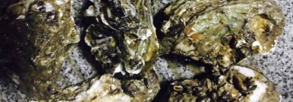 生蚝怎么清洗内脏图解