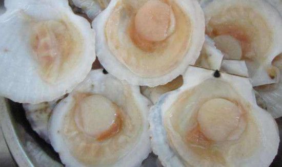 清蒸扇贝需要几分钟