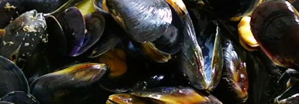 没煮的海虹能存放几天