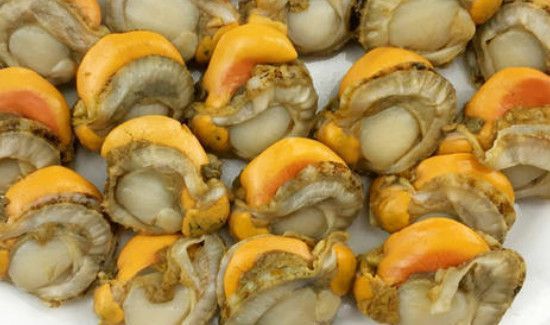 扇贝的腮和黄的区别