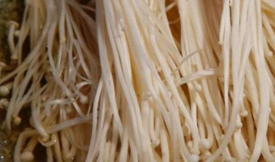 隔夜的金针菇能吃吗