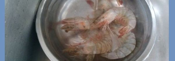 买的活虾怎么处理干净