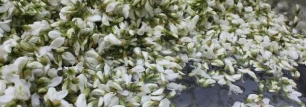 槐花怎么洗