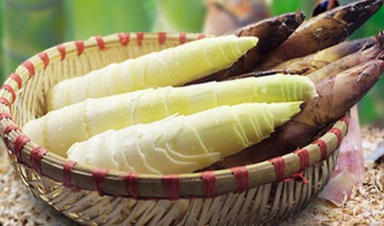 春笋的营养价值及功效与禁忌