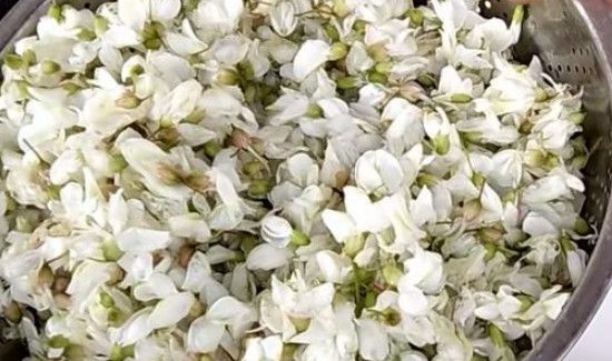 槐花怎么洗