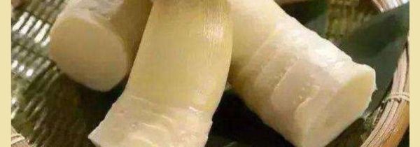 春笋的营养价值及功效与禁忌