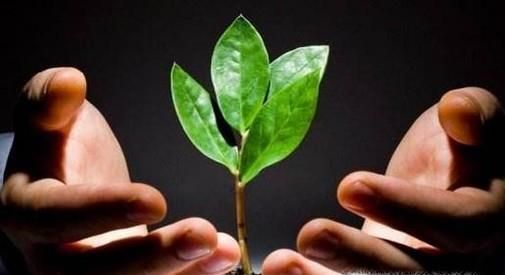 太在意别人的看法怎么办？