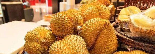 买的榴莲不熟怎么办已经剥开了