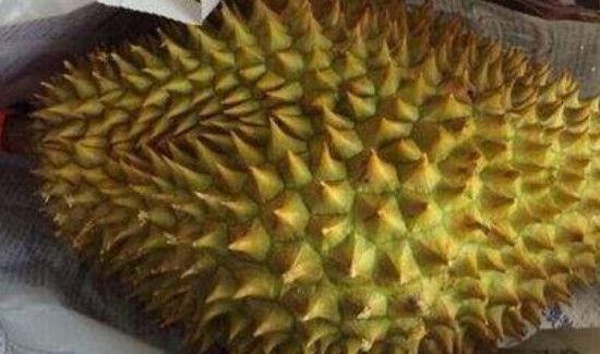 买的榴莲不熟怎么办已经剥开了