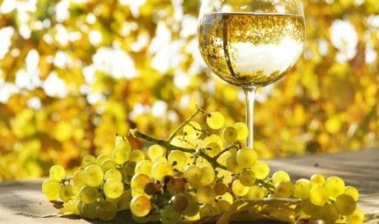 葡萄酒和红酒的区别