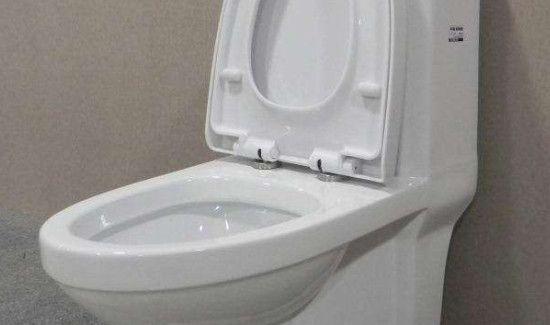 马桶的细菌对人的危害