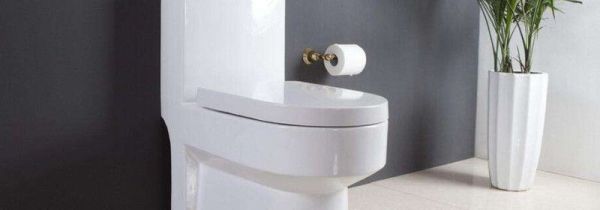 马桶的细菌对人的危害