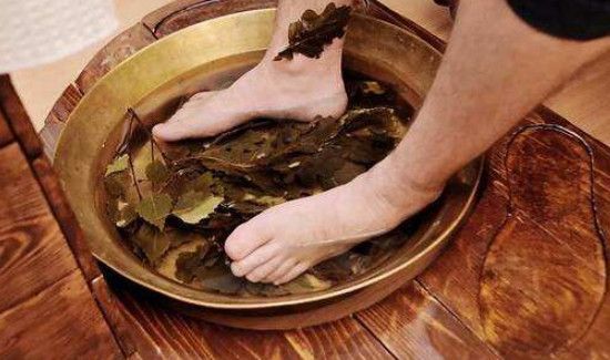 苦蒿泡脚的功效和作用