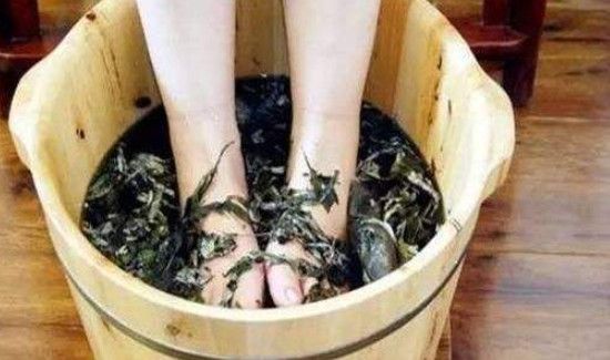 苦蒿泡脚的功效和作用