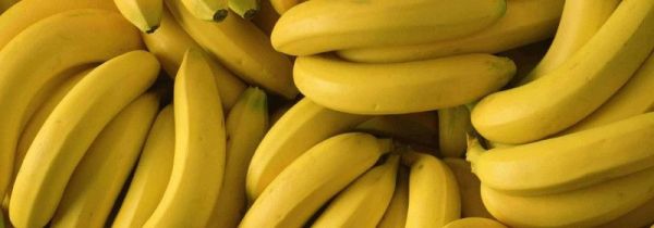 香蕉为什么不能放冰箱