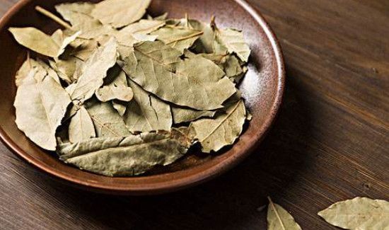 真香叶与假香叶的区别