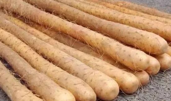 大薯和山药的区别