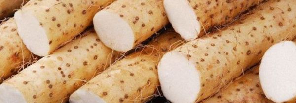 大薯和山药的区别