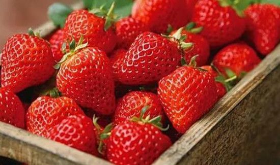 草莓上有白白一层能不能吃