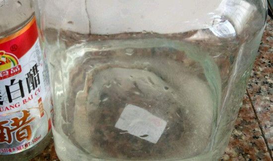 食盐加白醋有什么功能
