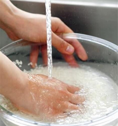 家庭如何利用厨余自制阳台种菜种花肥料