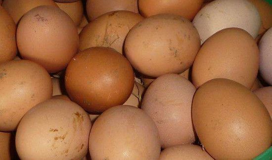 鸡蛋不新鲜的表现
