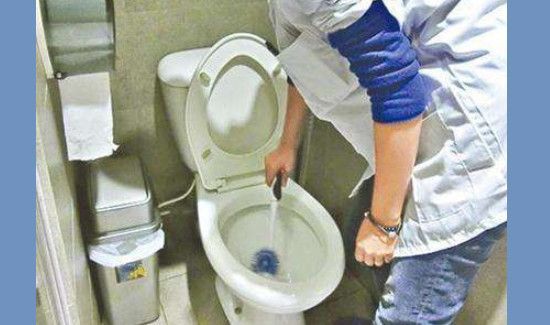 厕所的蛆虫老往上爬怎么解决