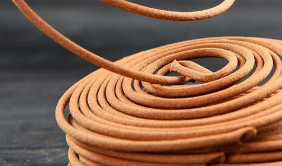 厕所的蛆虫老往上爬怎么解决