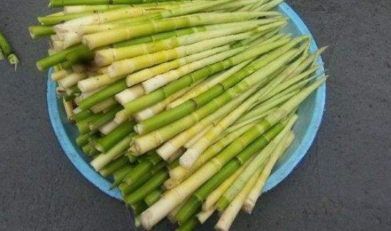 新鲜竹笋可以和鱼一起吃吗