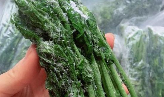 香椿如何保鲜运输