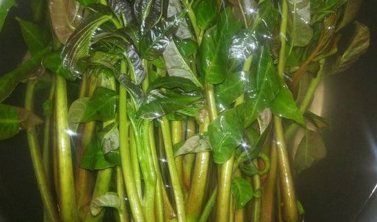 香椿如何保鲜运输