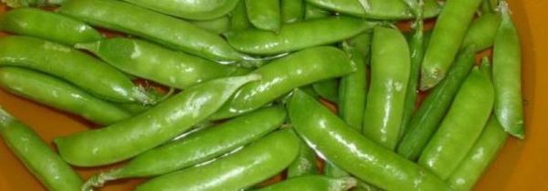 豌豆角煮多长时间能熟