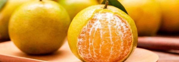 苹果不能和什么水果一起吃