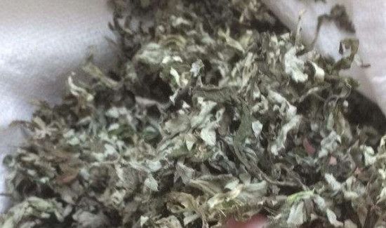 晒干的艾叶如何存放