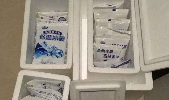 生物冰袋多久就不冰了