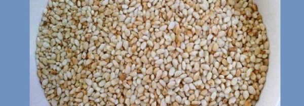 炒米茶的米要一起吃掉吗